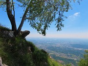 61 Betulla solitaria sul ripido pendio con bella vista sulle colline e la pianura